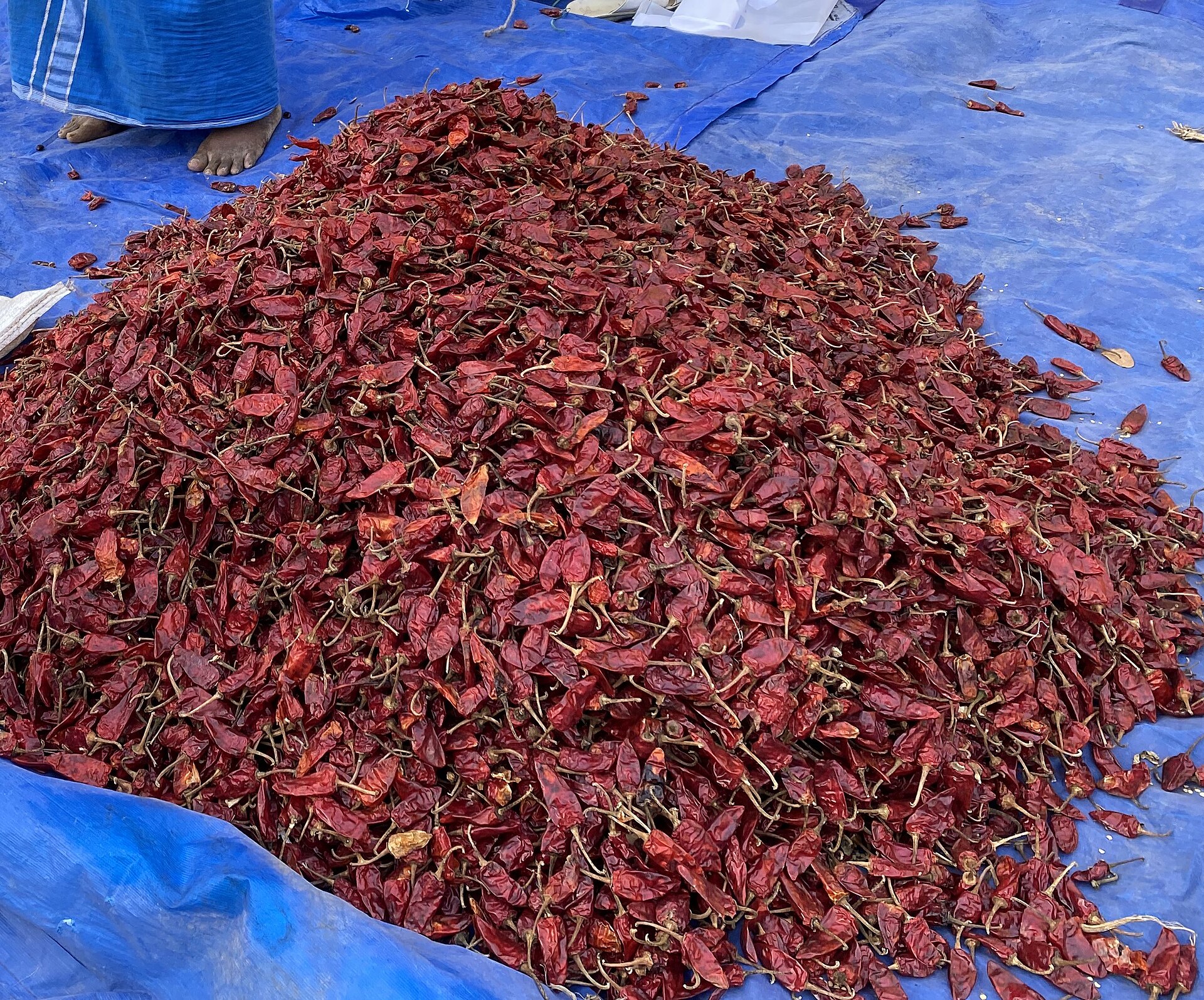Red Chilli