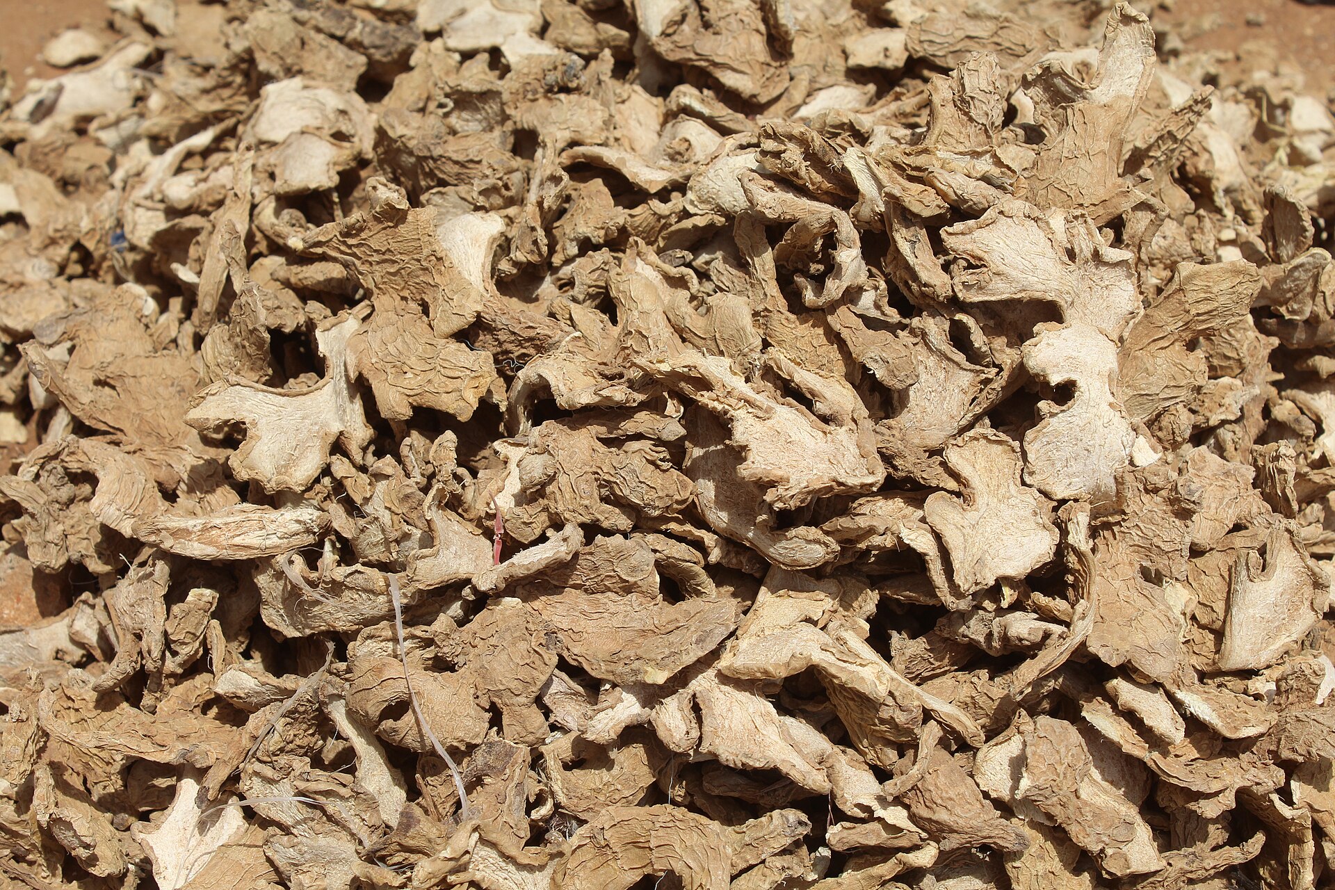 Dry Ginger